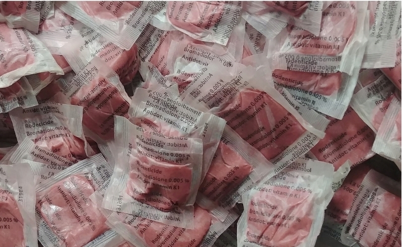 JEDOVATÝ RATIMOROVÝ PASTA jed pre myši, potkany 5 kg