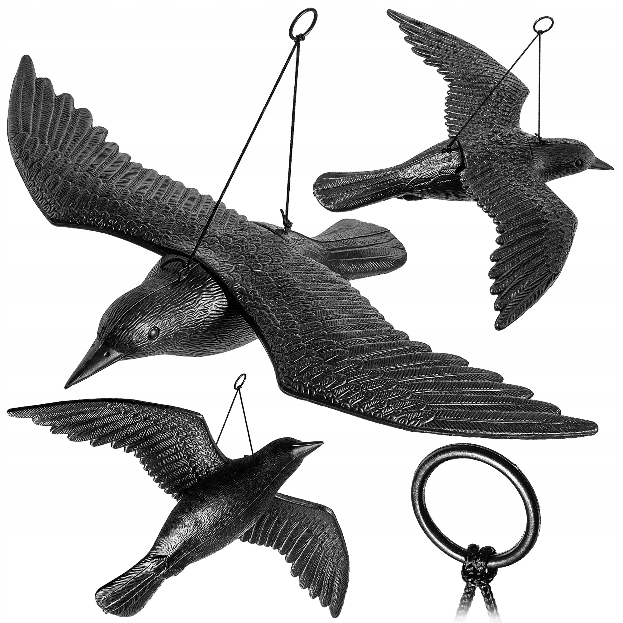 Lietajúci havran 56 cm – plašič holubov a vtákov