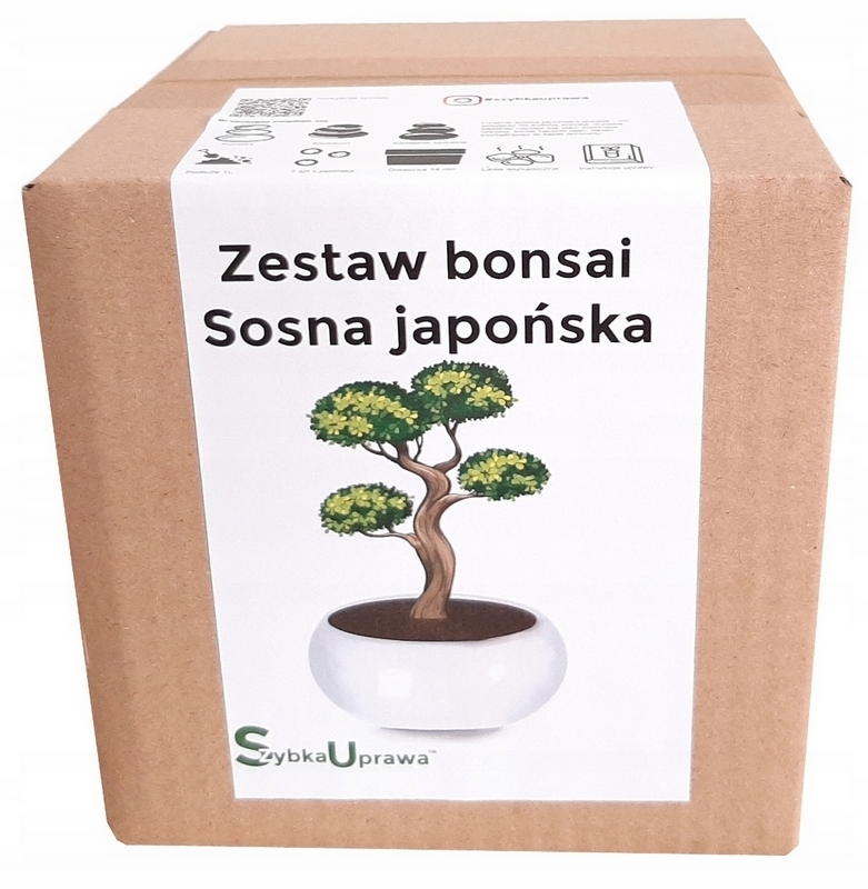 Bonsai - Kultivačná sada BONSAI JAPONSKÁ Borovica biela