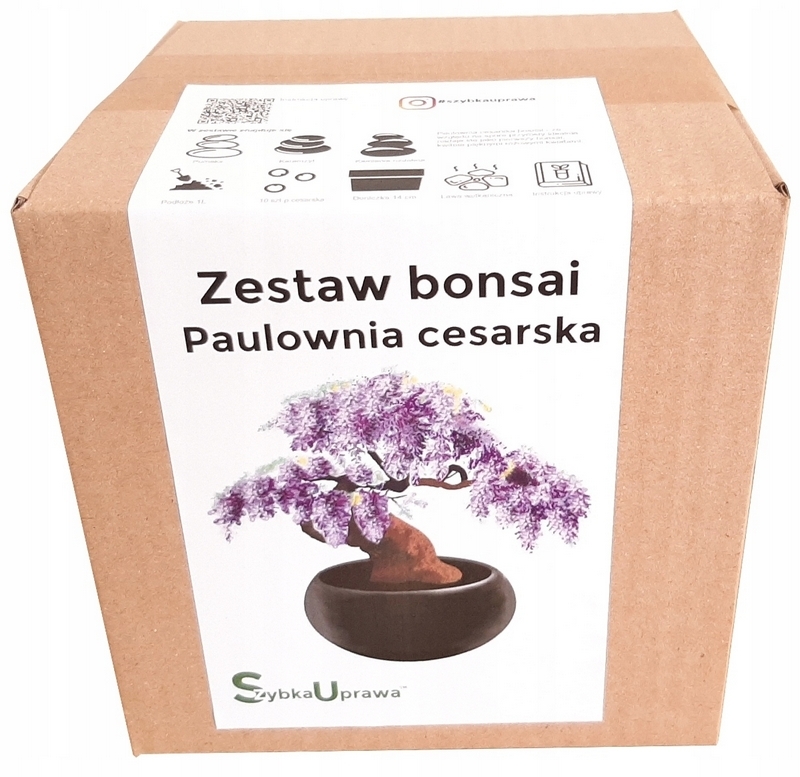 Bonsai - Kultivačná sada BONSAI imperiálna paulownia čierna